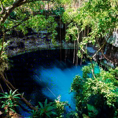 Mexico_Yucatan_Cenote.jpg