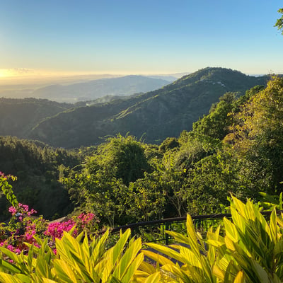 Puerto_Rico-El-Yunque-Forest