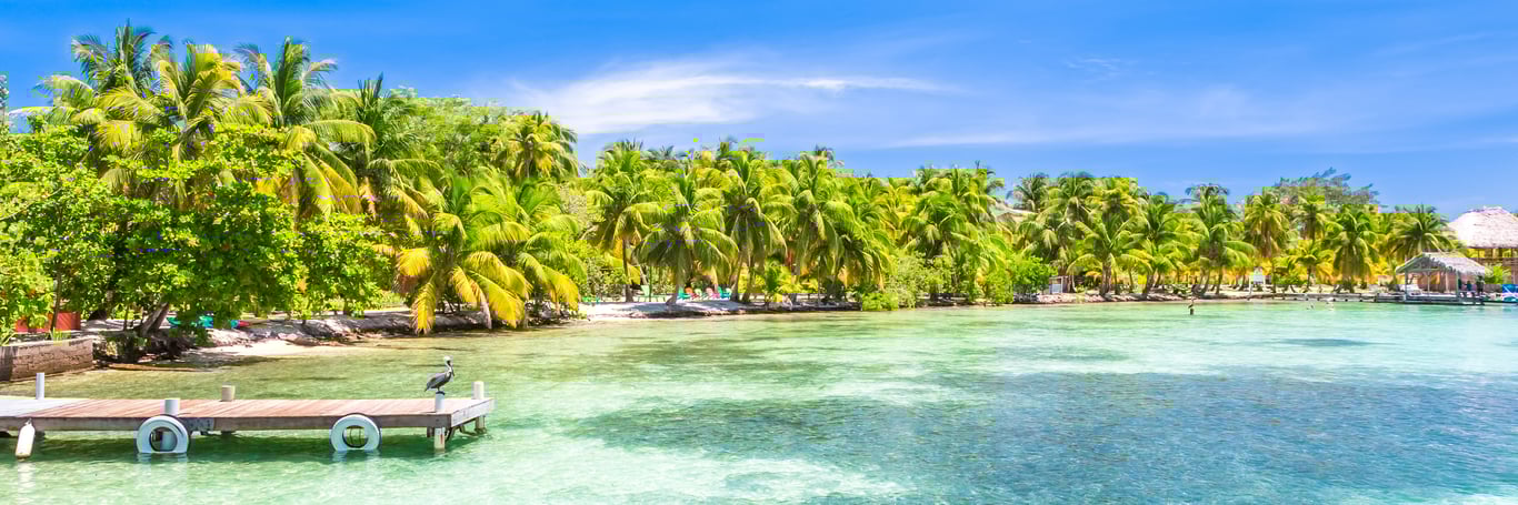 belize_landscape_beach_palm_trees.