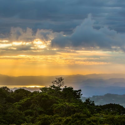 costa-rica_monteverde-forest