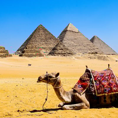 egypt_pyramids-camel