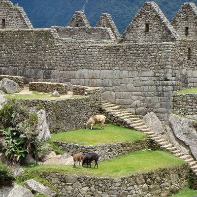 peru_machu-picchu-ruins
