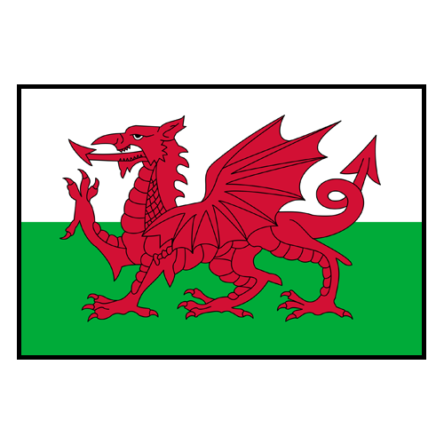 Wales U20