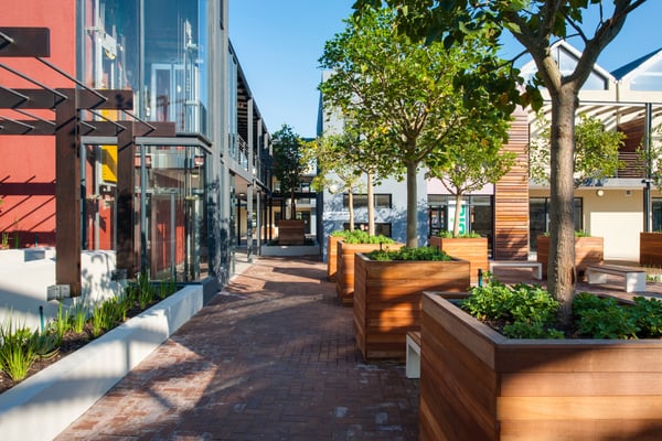 Project Gallery Image 11