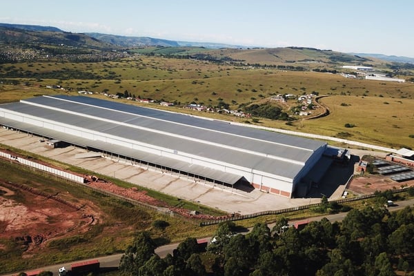 13685m² Premium Logistics & Distribution Facility To Let in Cato Ridge  — image 5