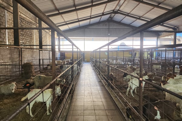 1 078m² Undercover Yard For Sale — image 4