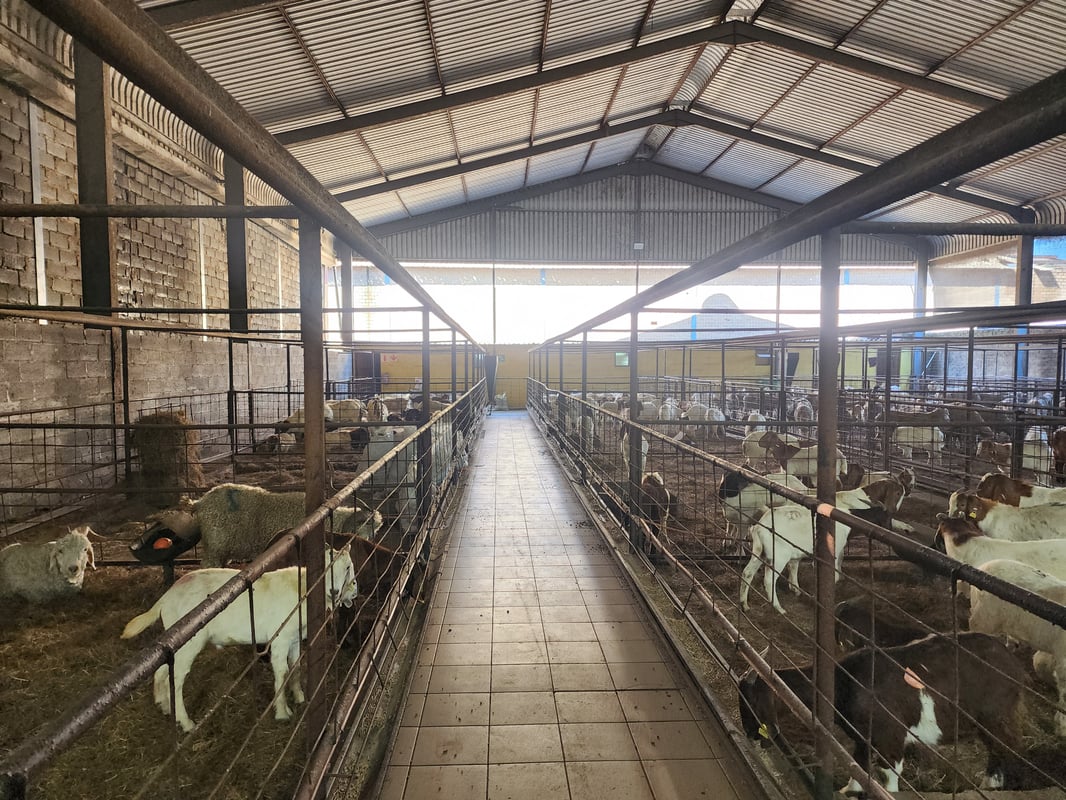 1 078m² Undercover Yard For Sale