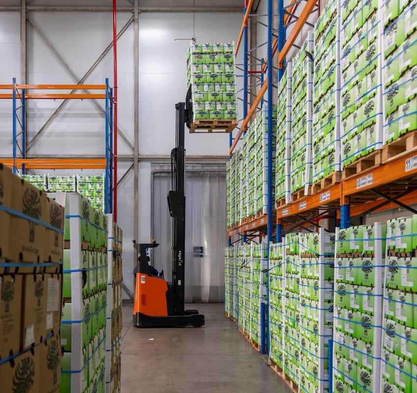 6501m² Cold Storage Facility For Lease in Cornubia