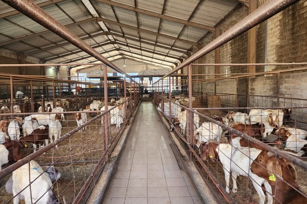 1 078m² Undercover Yard For Sale — image 3
