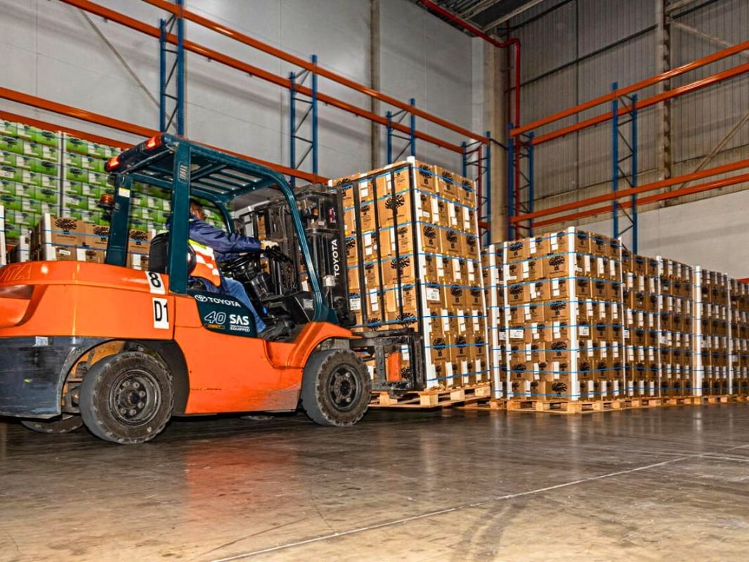 6501m² Cold Storage Facility For Sale In Cornubia