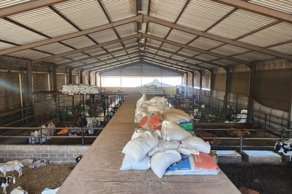 1 078m² Undercover Yard For Sale — image 2