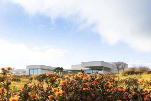 Where Modern Architecture Meets The Winelands