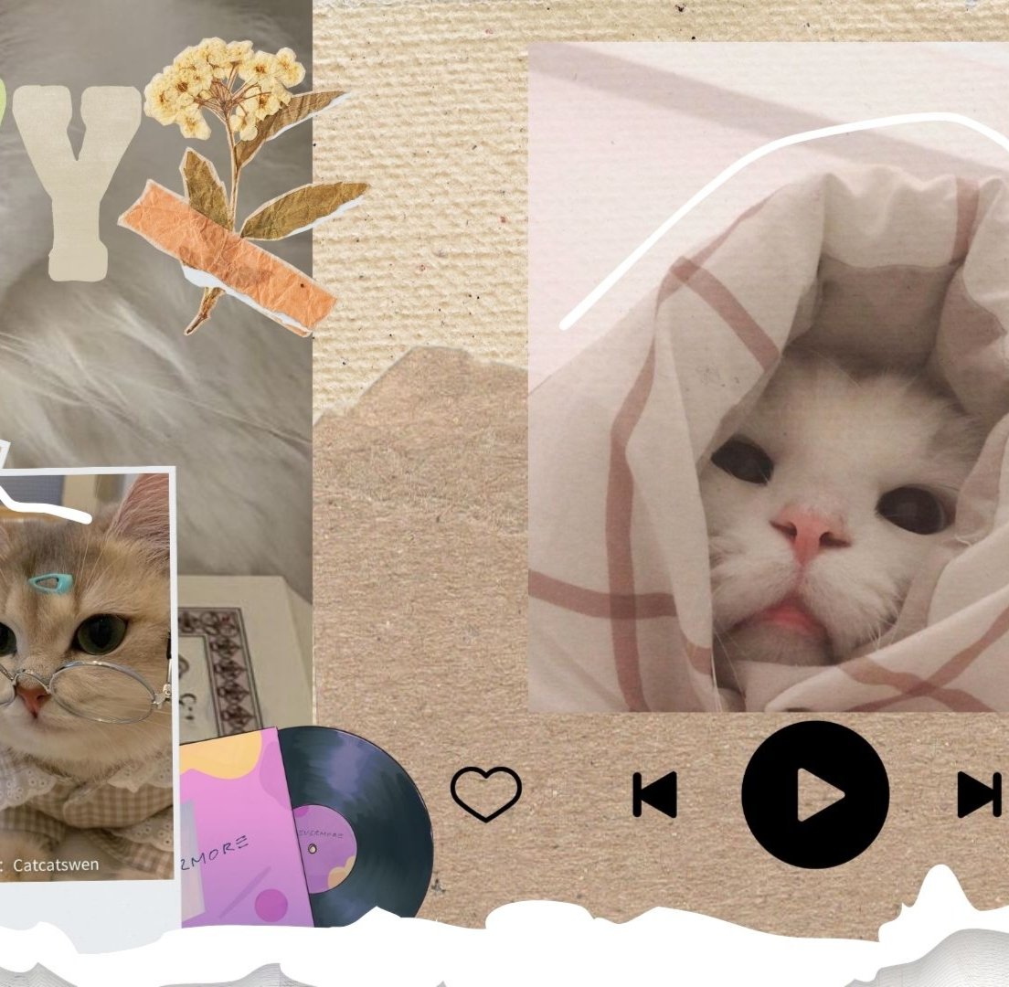 Image 2 for Tema kucing 