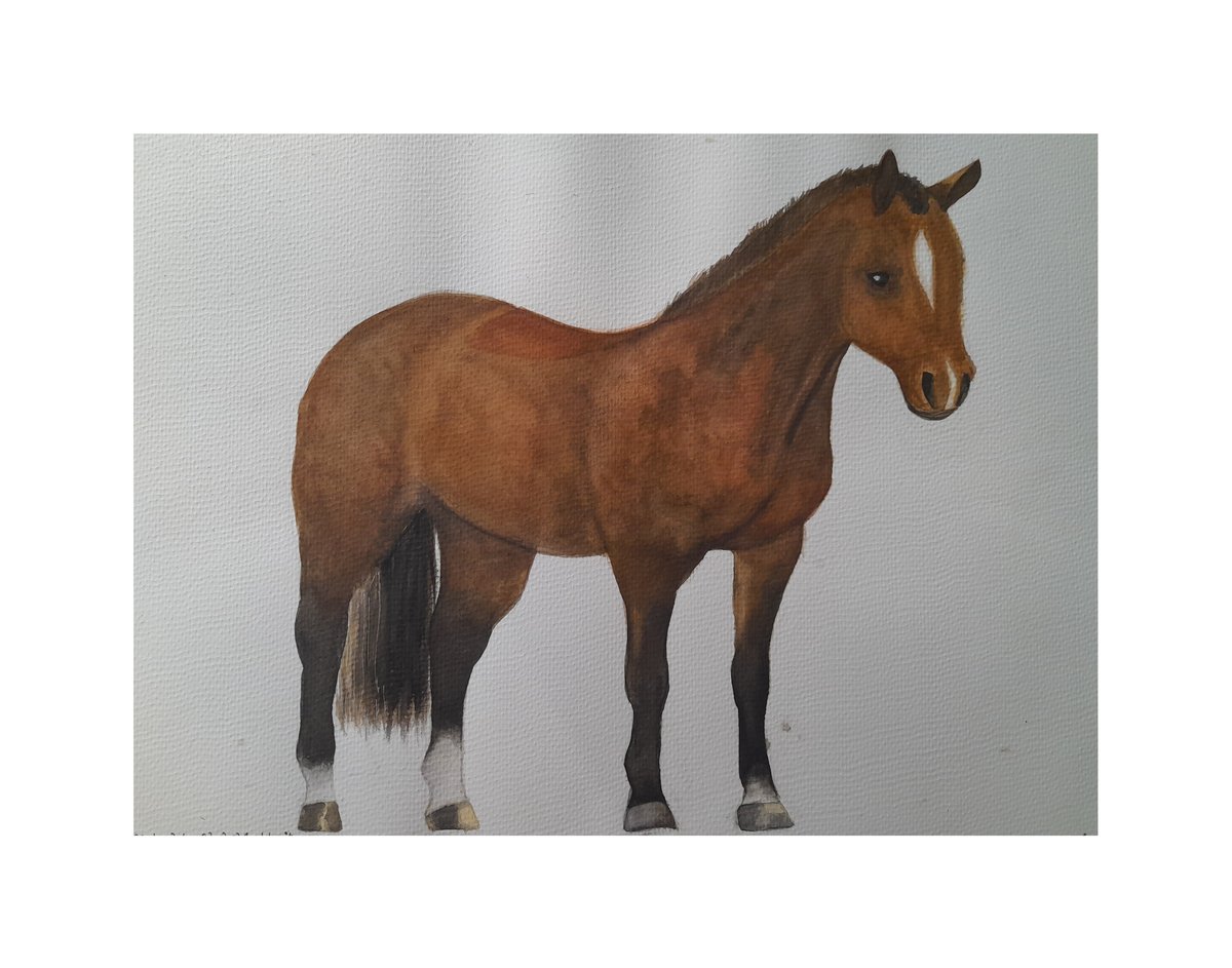 Watercolor & Colored Pencils, image 4