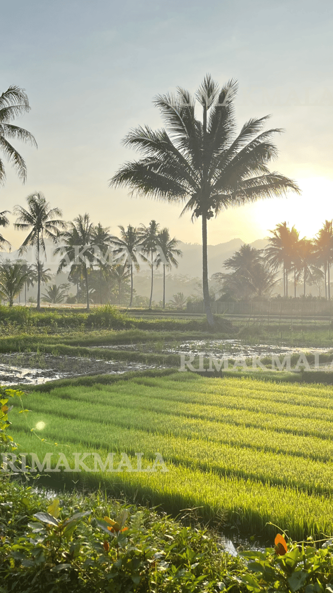 image for Lanscape Wallpaper button