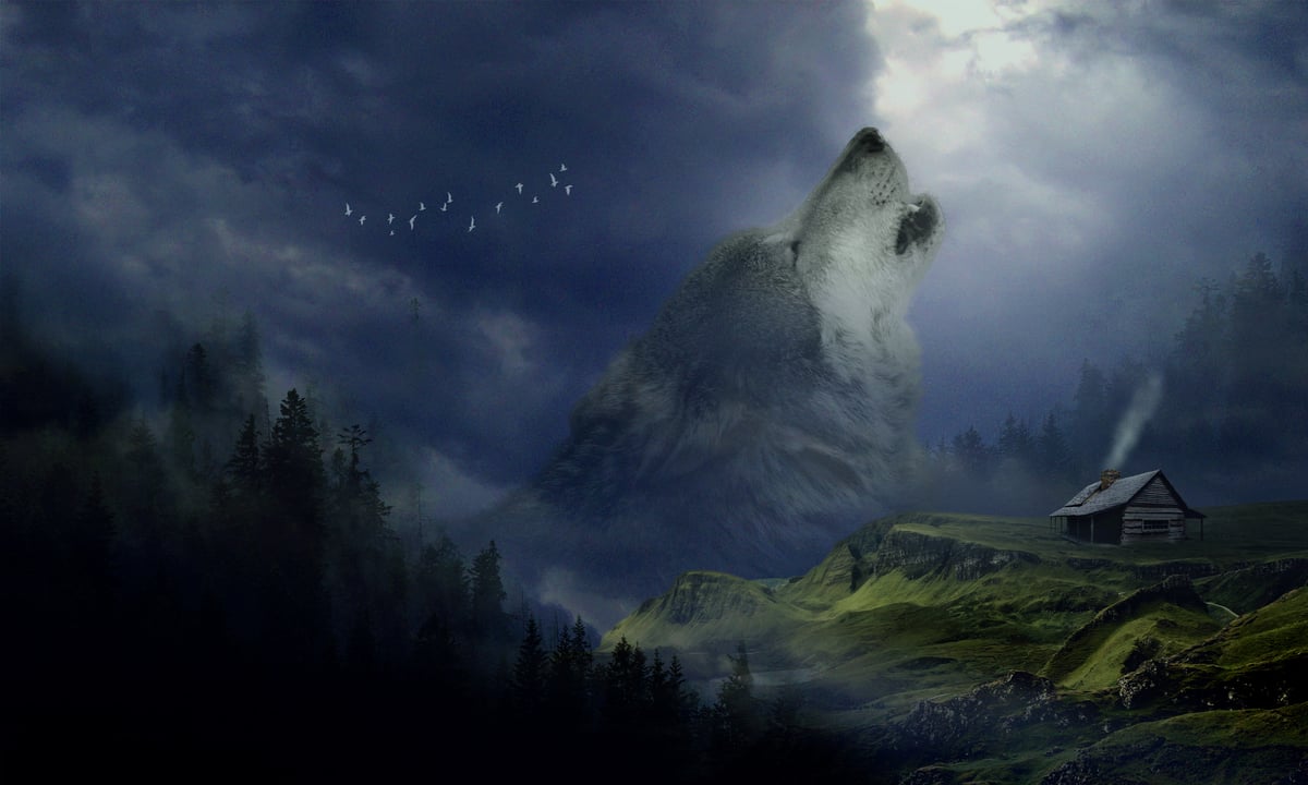 Image for 🖼️ Karyaku