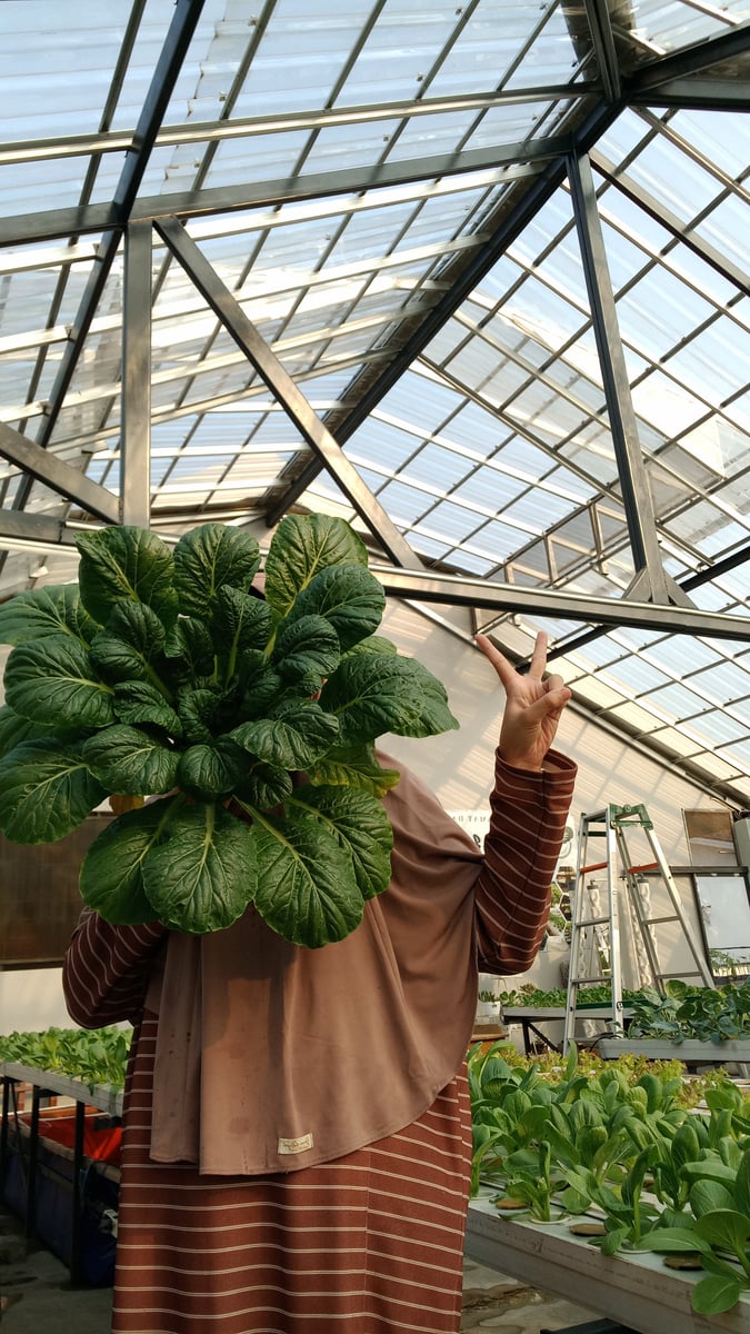 Image for 🖼 Kesibukan Menyenangkan di Rumah 