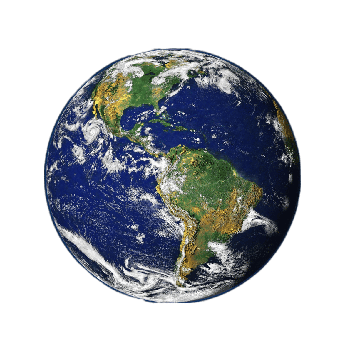 image for Free Download Here button