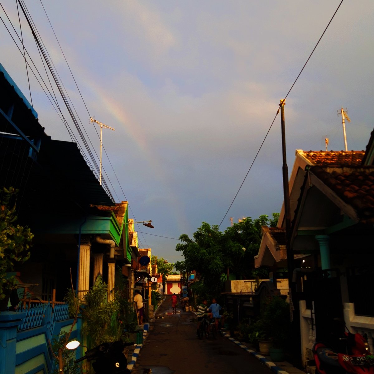 📸 Through My Lenses , image 2