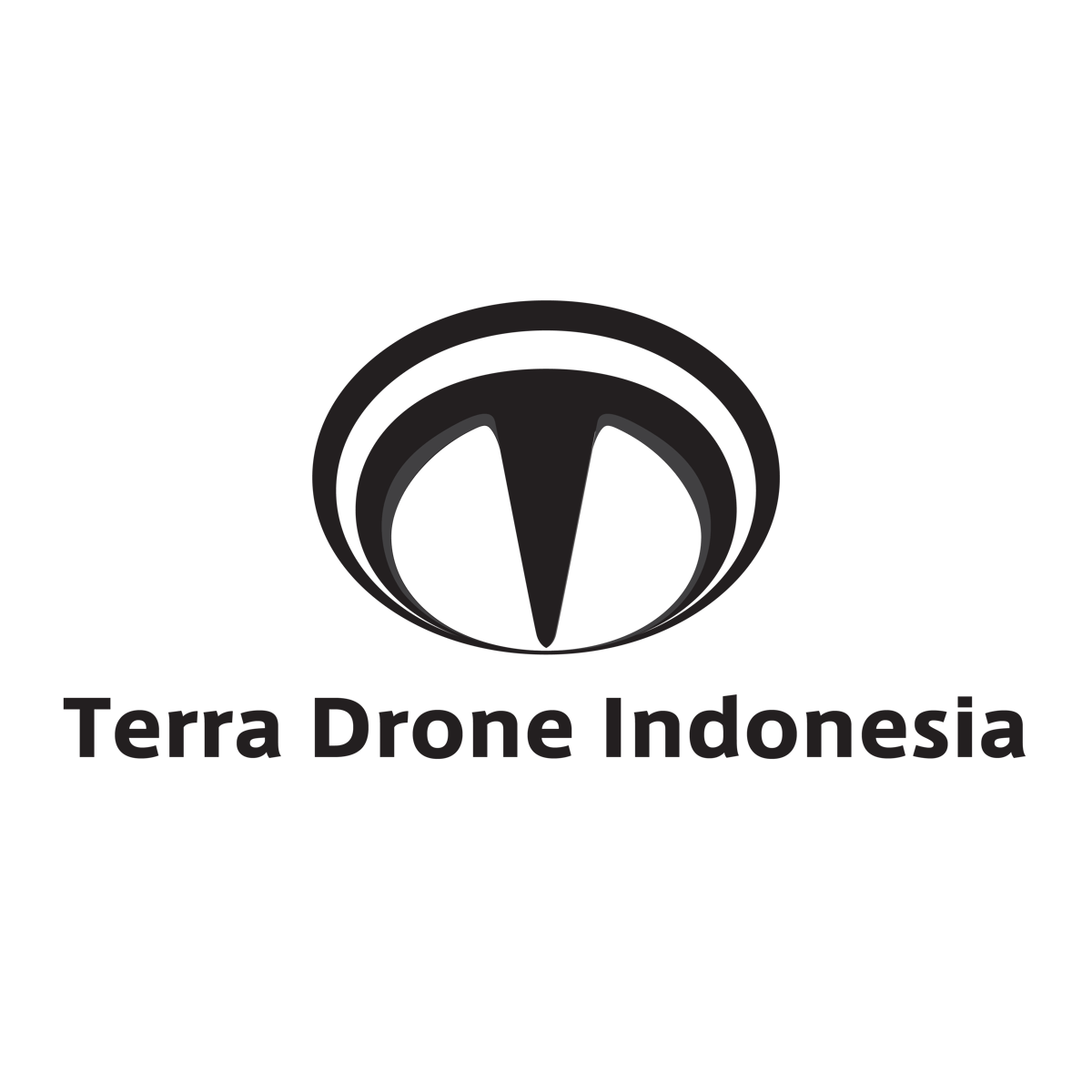 image for Terra Drone Indonesia button