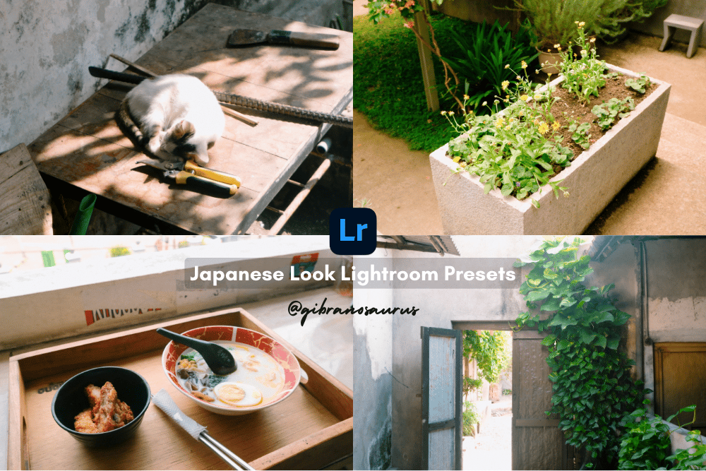 image for Japanese Look Lightroom Presets Pack  button