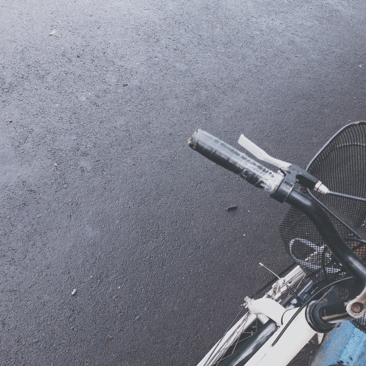 📸 Through My Lenses , image 1