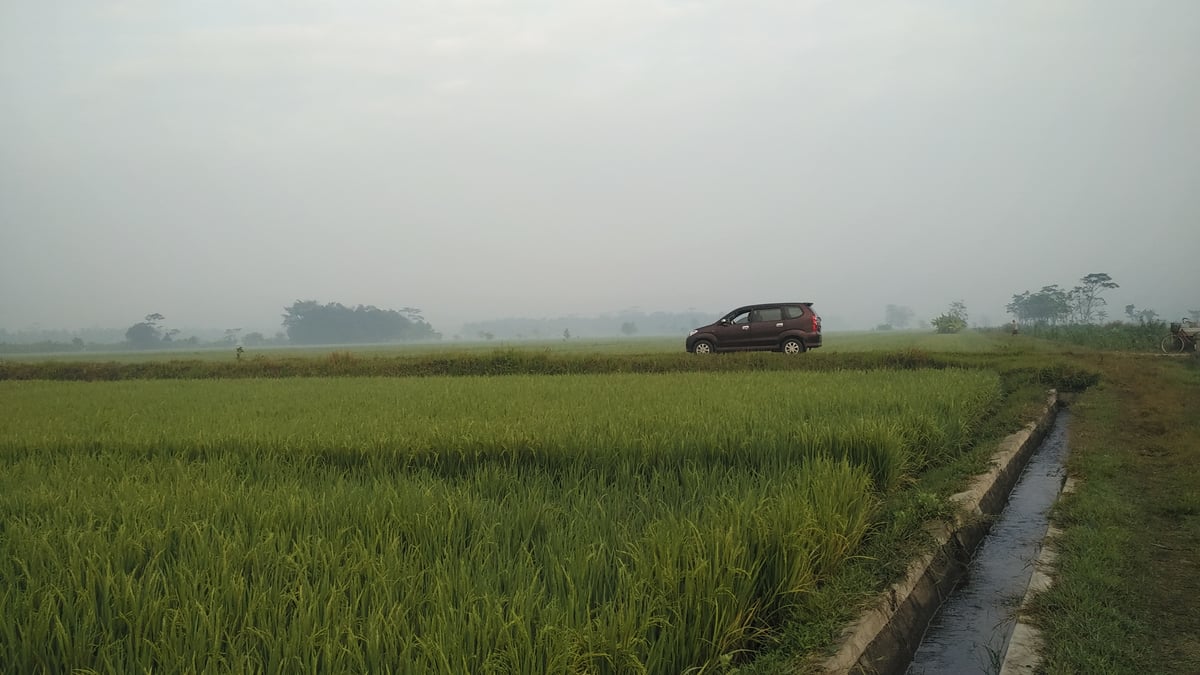 Image for Landscape Example