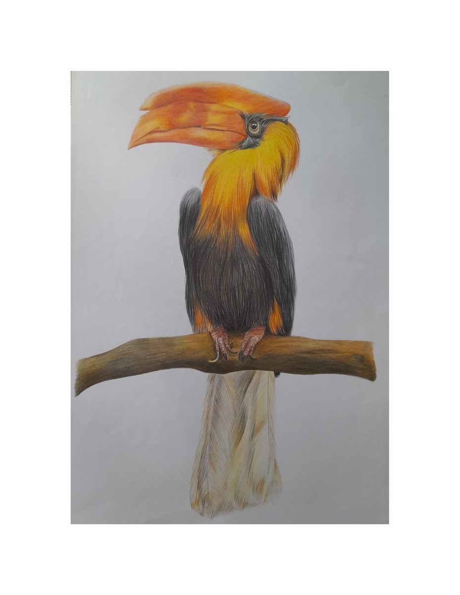 Watercolor & Colored Pencils, image 1