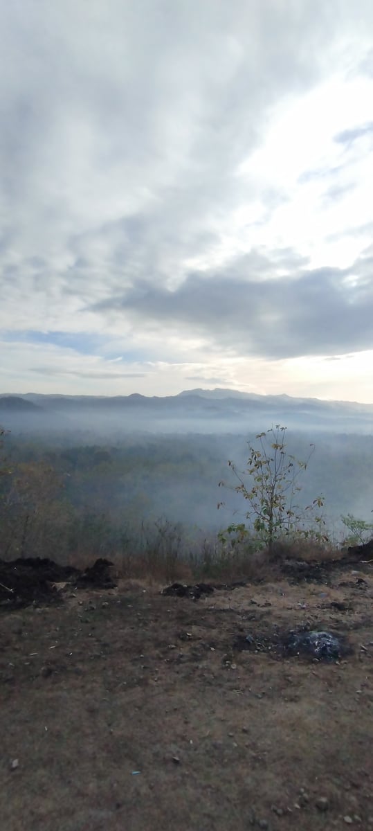 Image 2 for Foto foto 