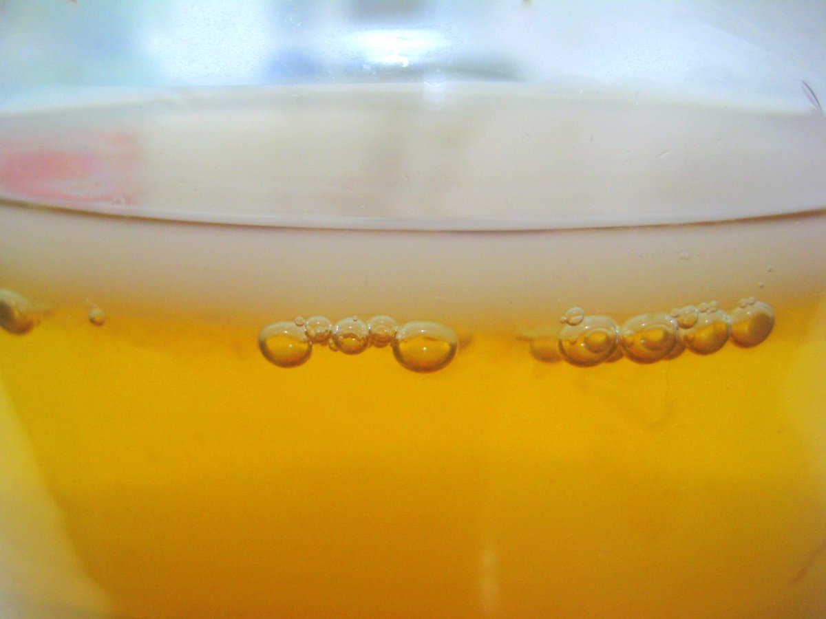 image for [FREE] Video Cara Membuat Kombucha by Indokombucha button