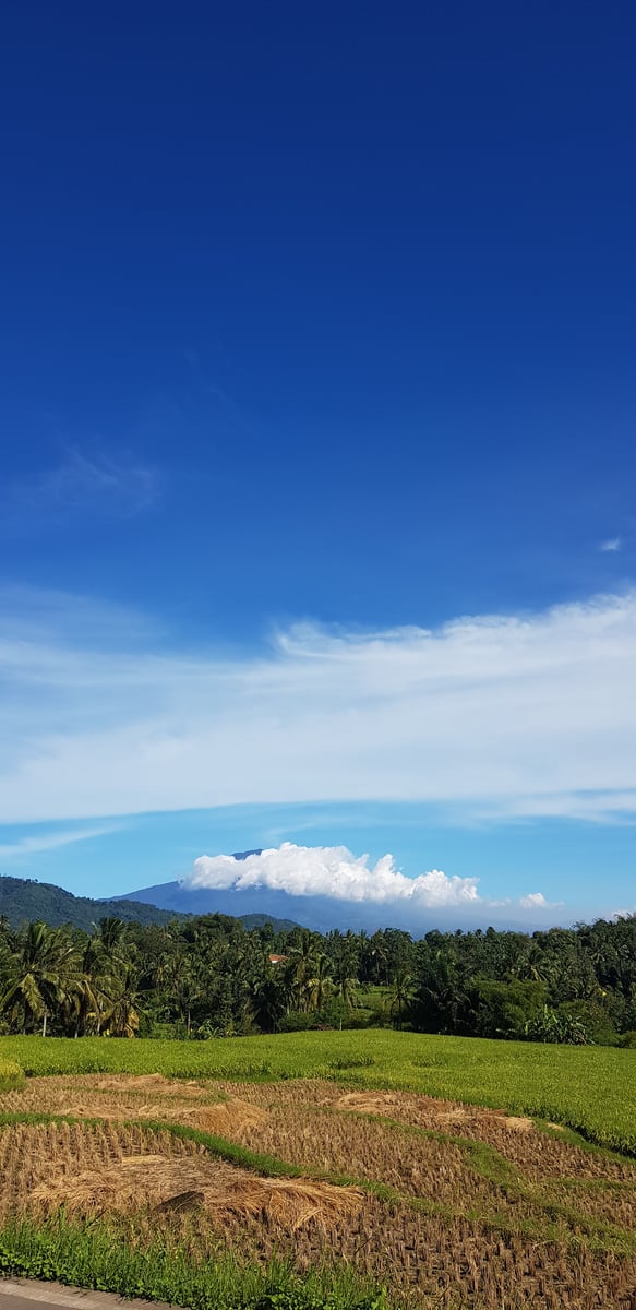 📸Popotoan, image 3