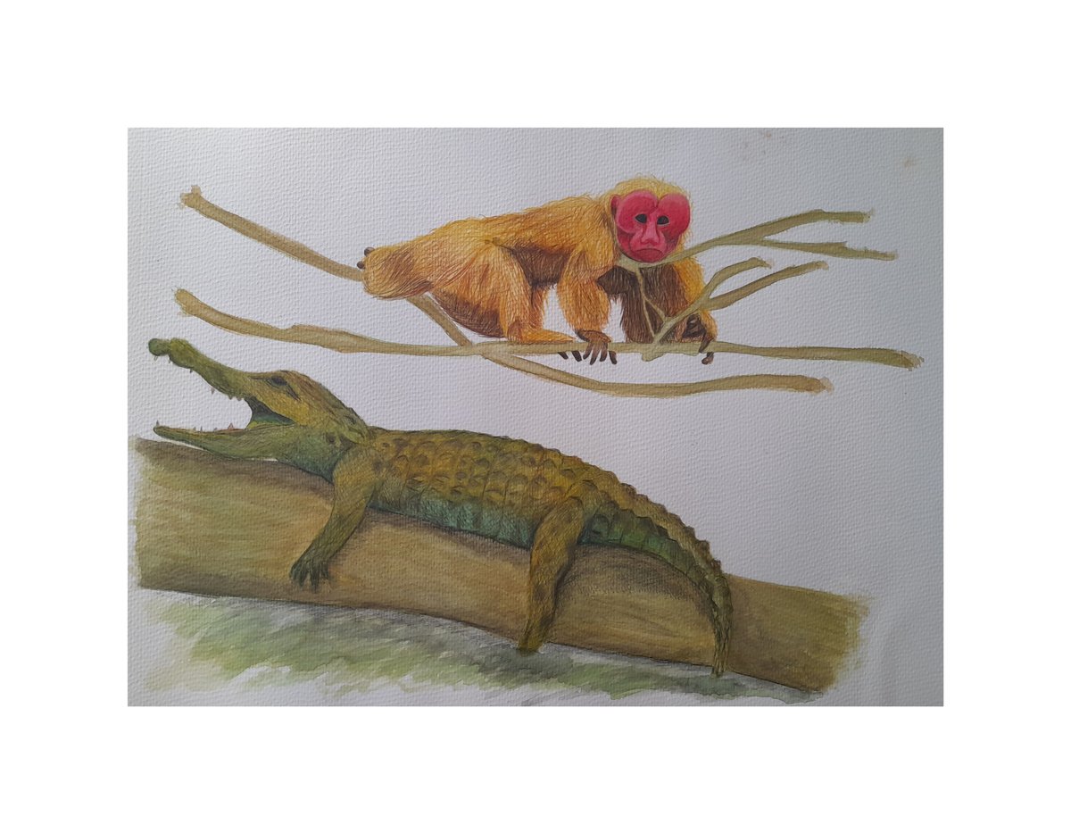 Watercolor & Colored Pencils, image 3