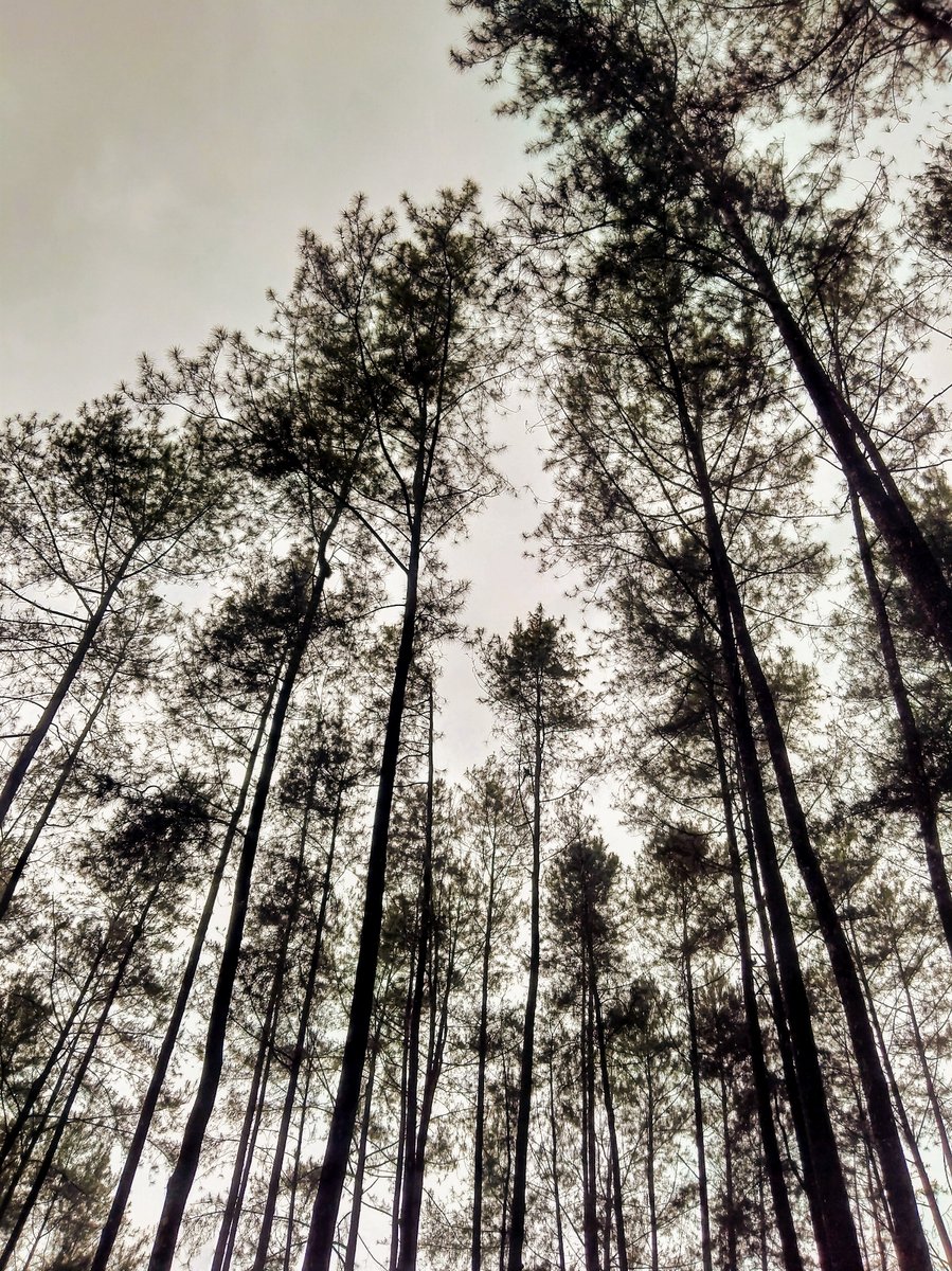 📸 My Gallery, image 16