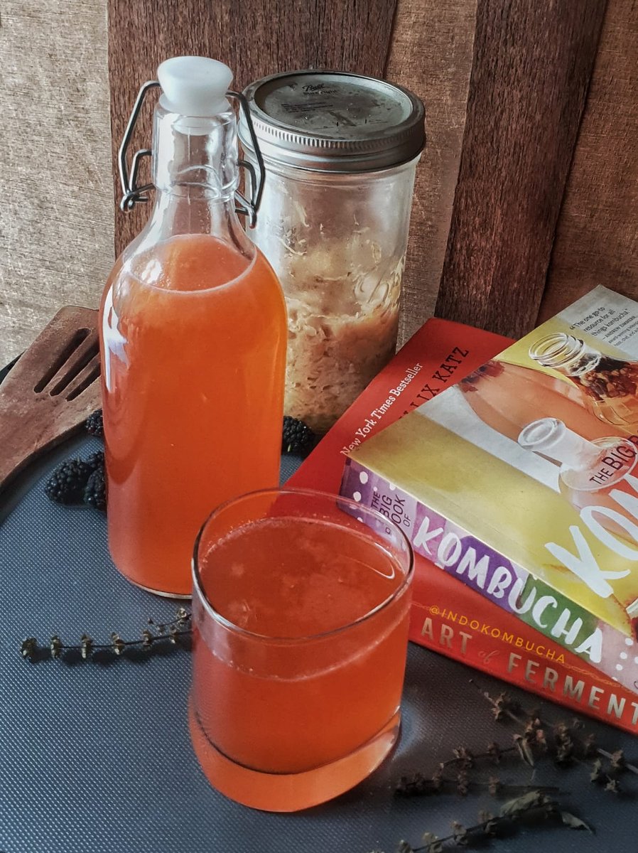 image for [FREE] Ebook Kombucha 101 by Indokombucha button