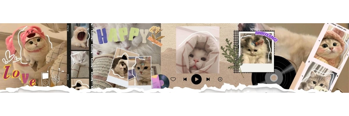 Image for 