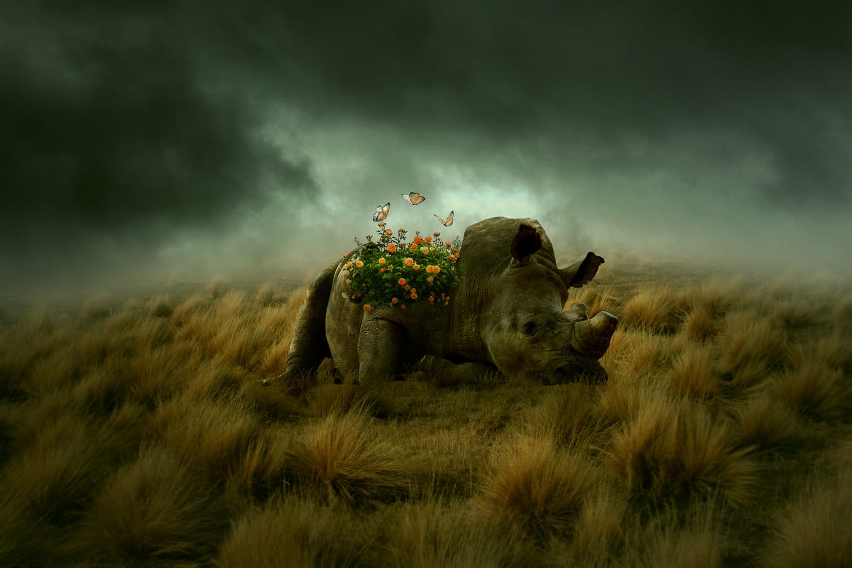 Image for 🖼️ Karyaku