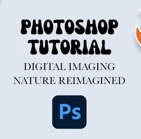 image for Digital Imaging Tutorial [PSD FILE] button