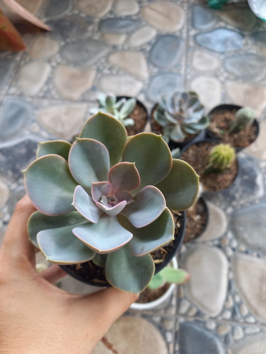 Image for 🖼 Kesibukan Menyenangkan di Rumah 