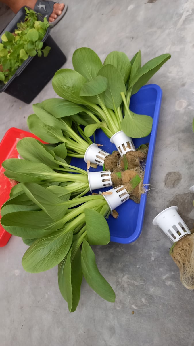 Image for 🖼 Kesibukan Menyenangkan di Rumah 