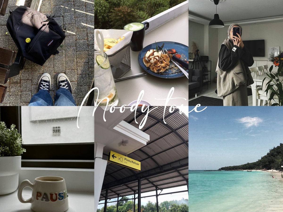 image for (PREMIUM) 55 Preset Lightroom button