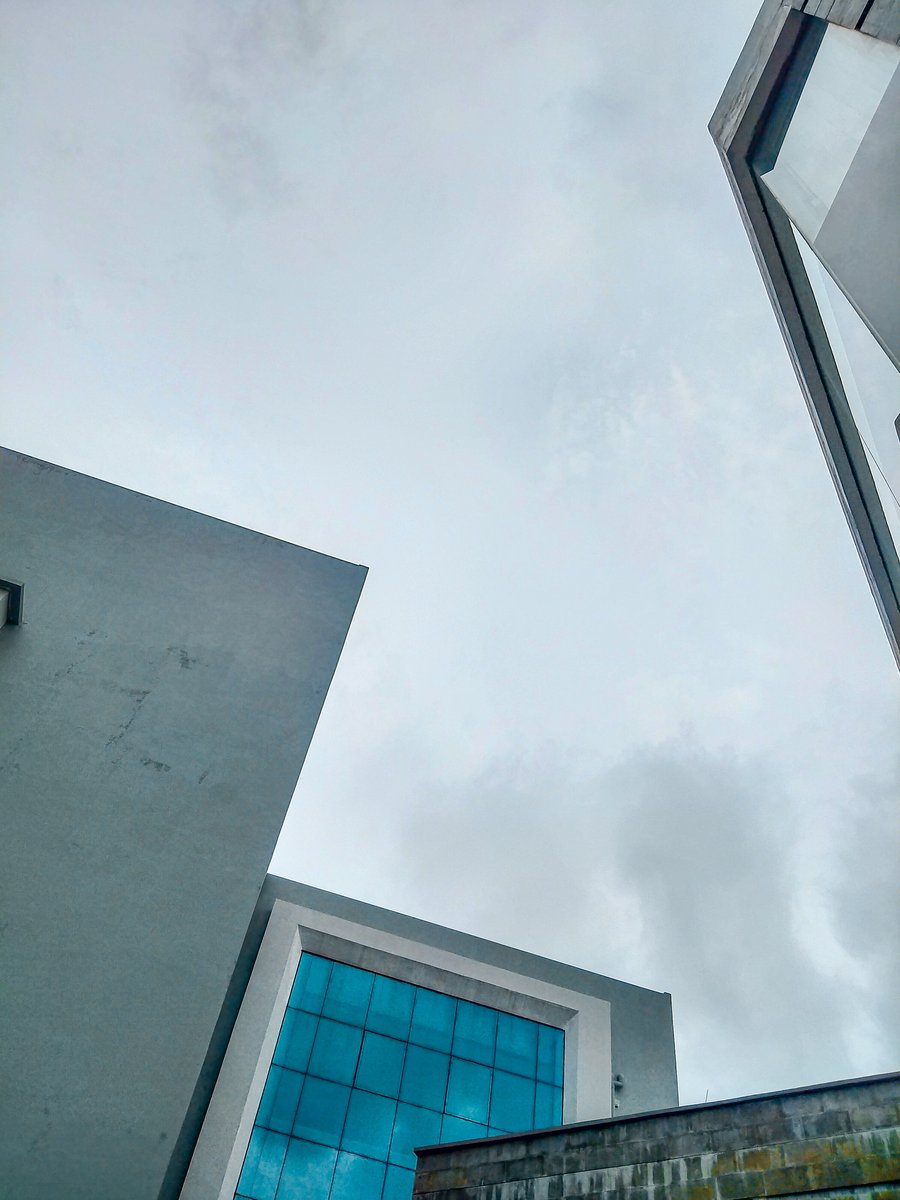 📸 My Gallery, image 12