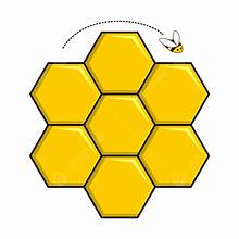 image for Research Project 1 (Propolis) button