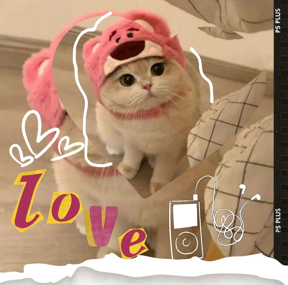 Image 0 for Tema kucing 