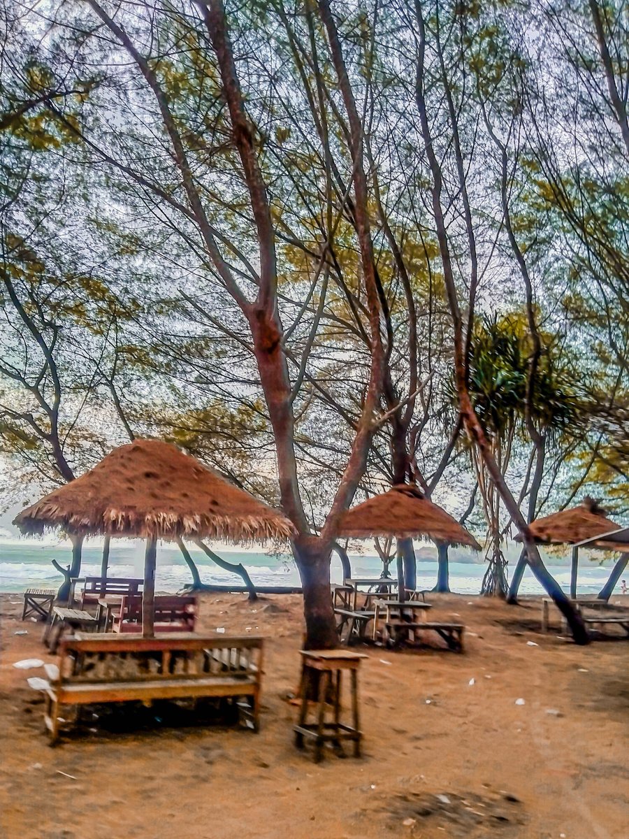 📸 My Gallery, image 8