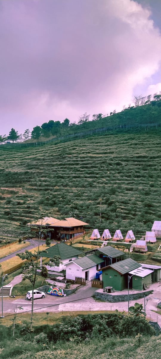 📸 My Gallery, image 11