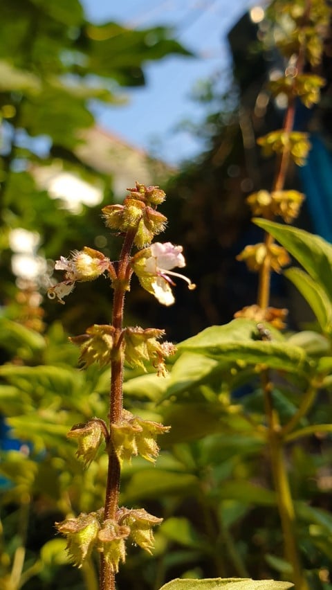 Ketika download, resolusi dan ukuran yang Anda dapatkan akan lebih besar daripada yang ditampilkan.