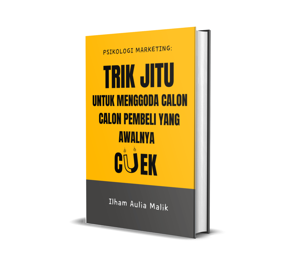 image for Psikologi Marketing: Trik Jitu untuk Menggoda Calon Pembeli yang Awalnya Cuek button
