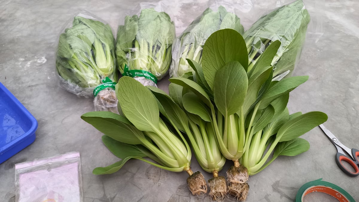 image for Mari Hidup Sehat Mulai dari Rumah [E-BOOK] button