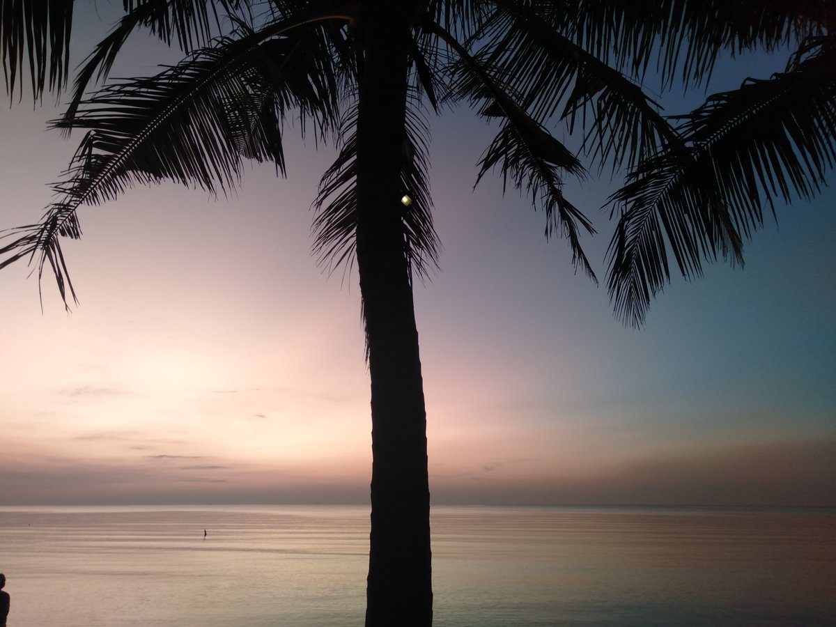 Image for Photography