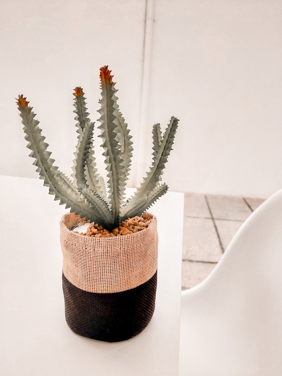 📸 My Gallery, image 17